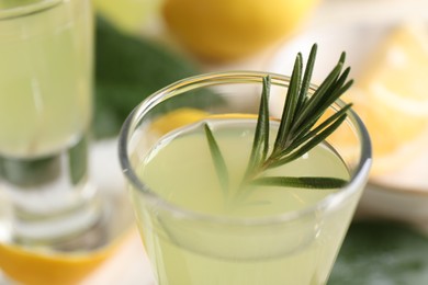 Photo of Tasty limoncello liqueur with rosemary on table, closeup