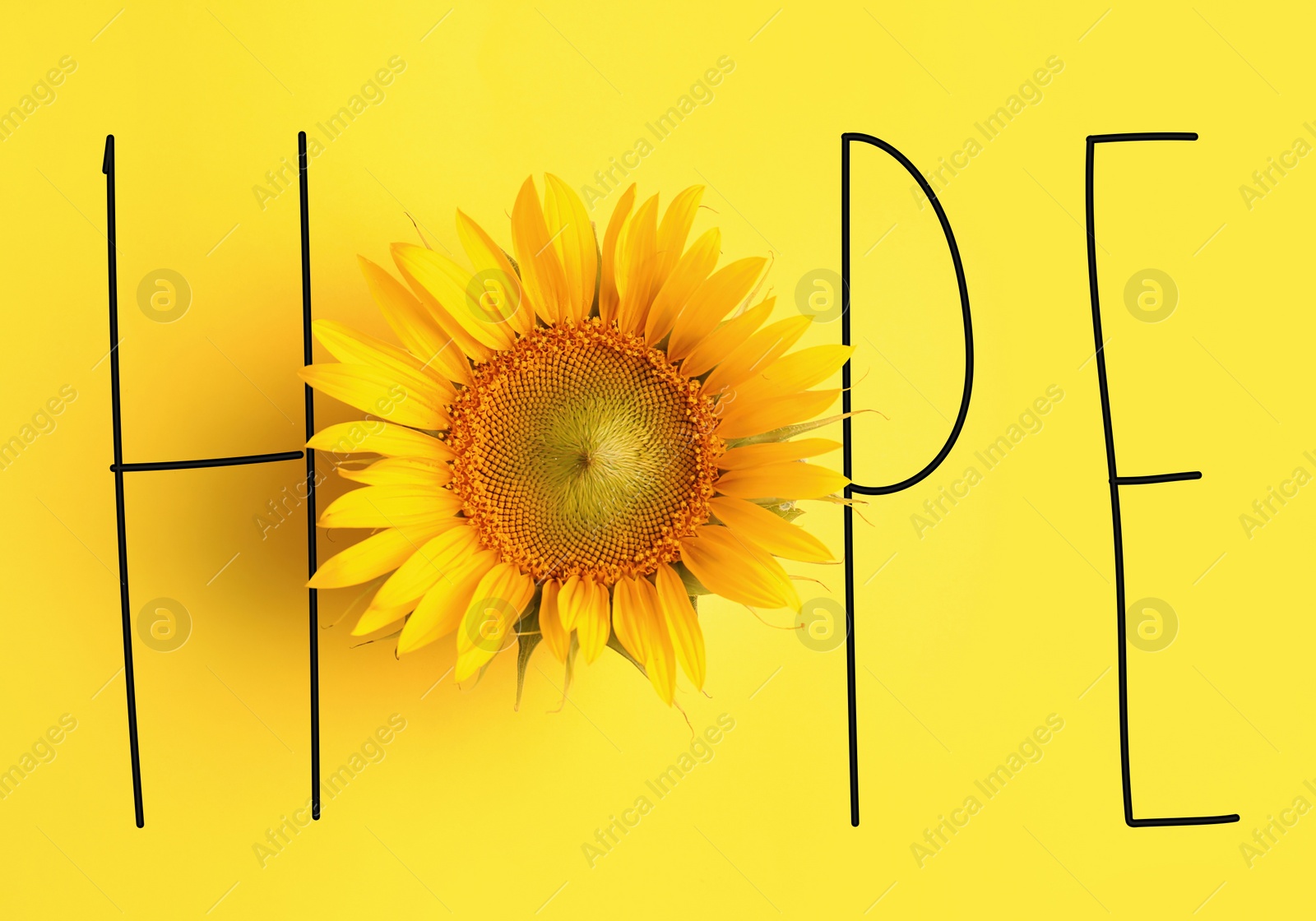 Image of Word HOPE made with letters and beautiful sunflower on yellow background