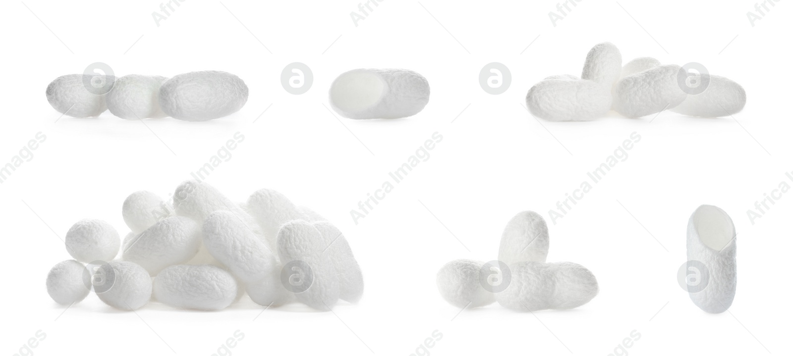 Image of Set with natural silkworm cocoons on white background. Banner design