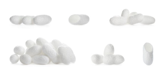 Image of Set with natural silkworm cocoons on white background. Banner design