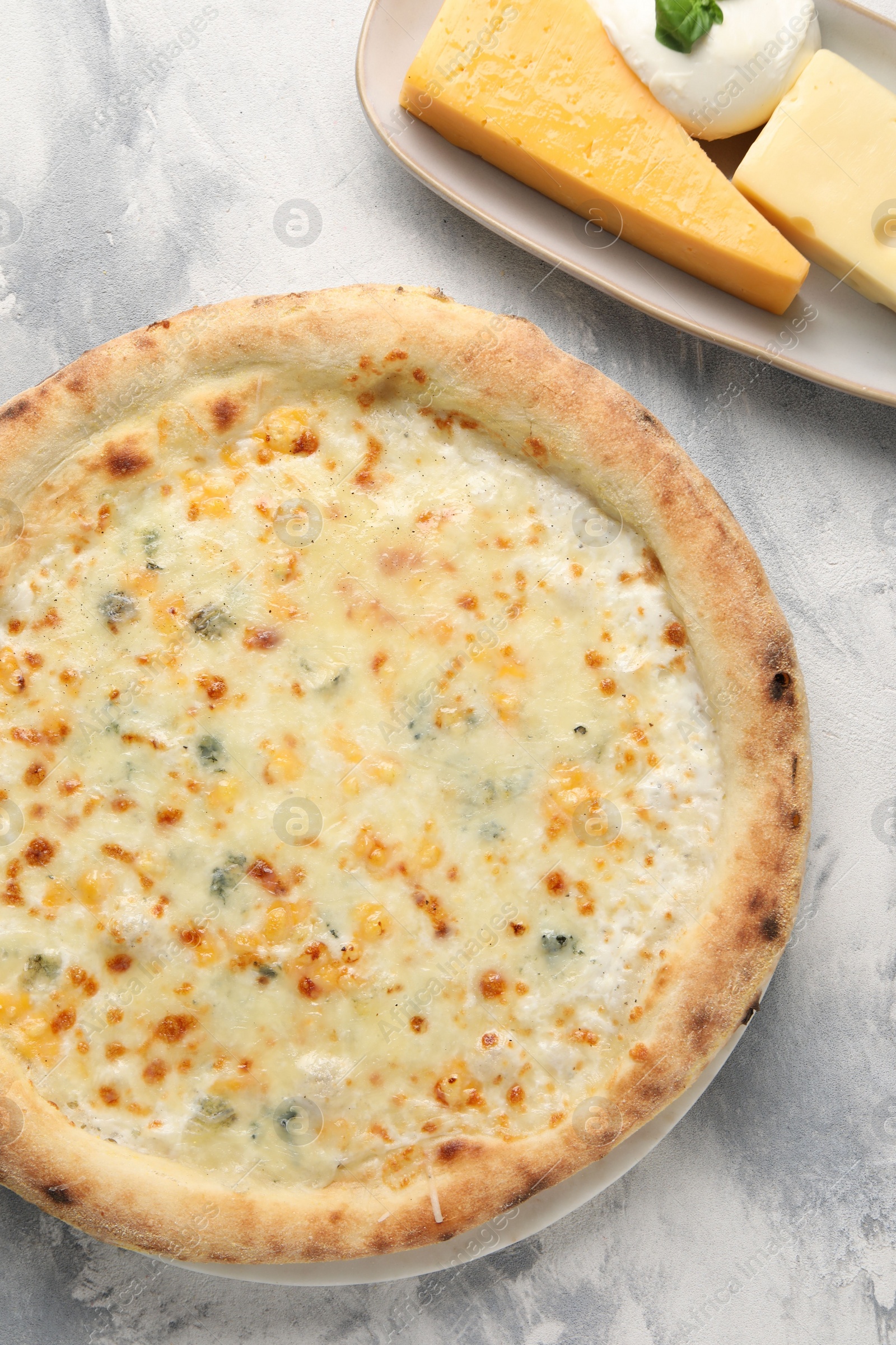 Photo of Delicious cheese pizza and different kinds of cheese on light grey textured table, flat lay