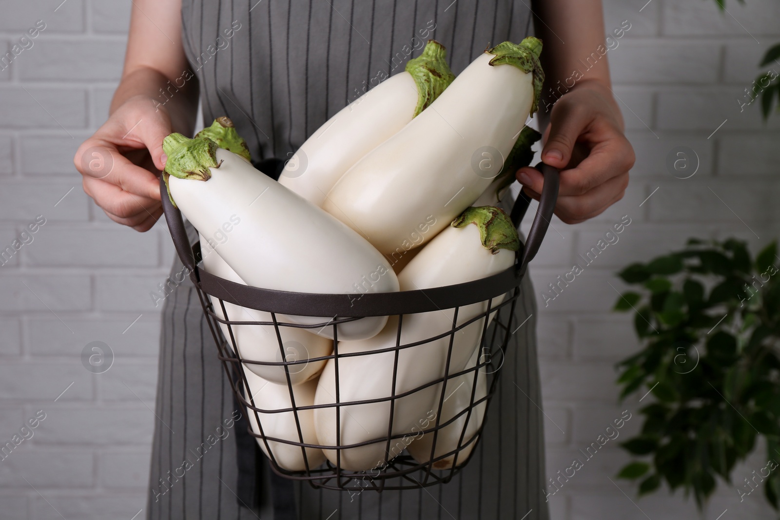 Photo of Woman holding metal basket with white eggplants near brick wall, closeup