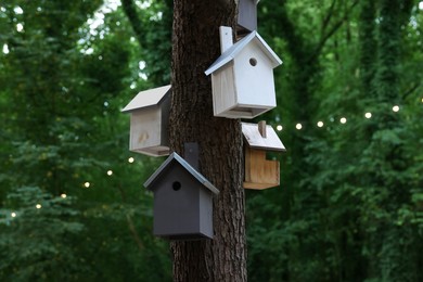 Photo of Beautiful wooden birdhouses hanging on tree trunk in forest