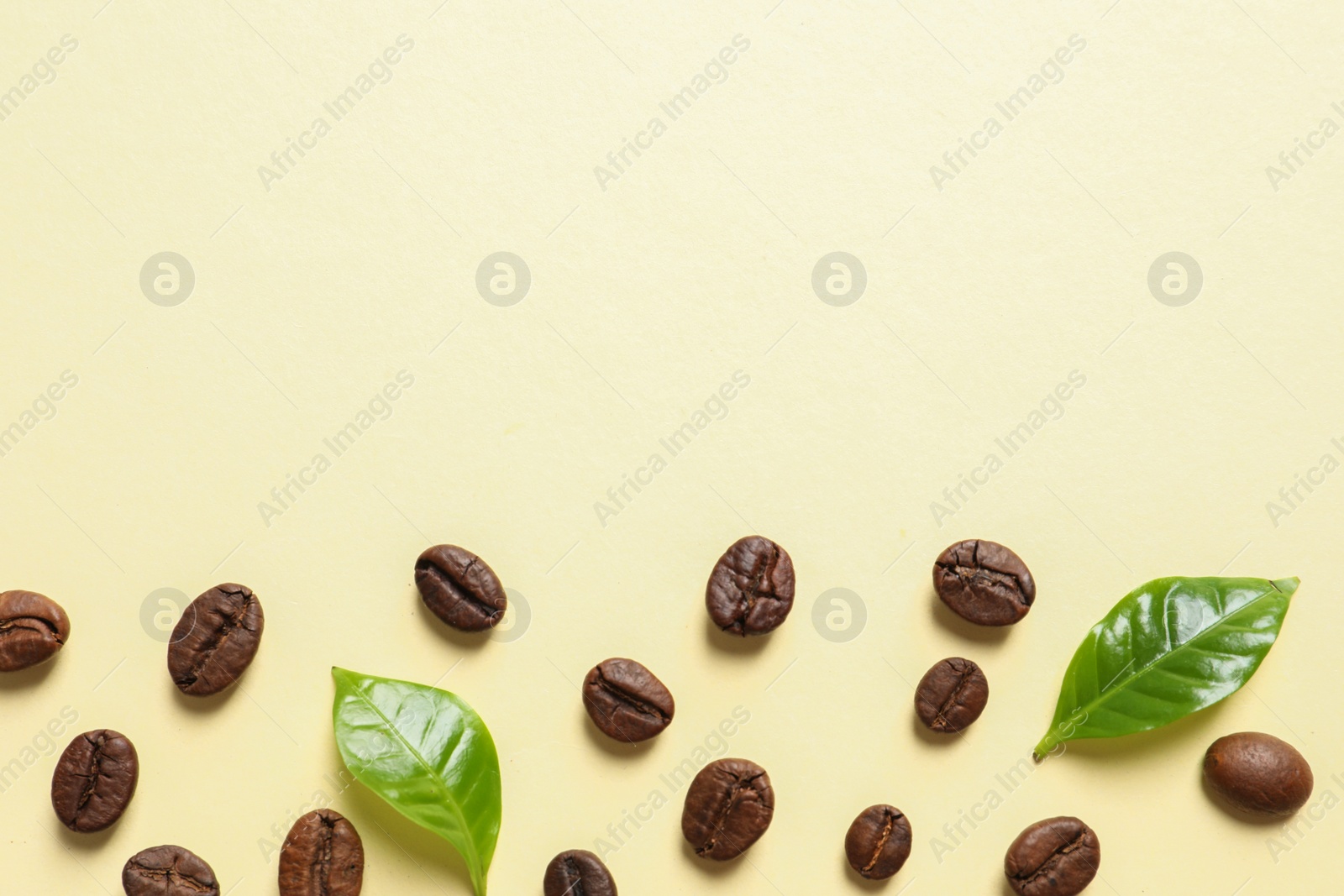 Photo of Fresh green coffee leaves and beans on light yellow background, flat lay. Space for text