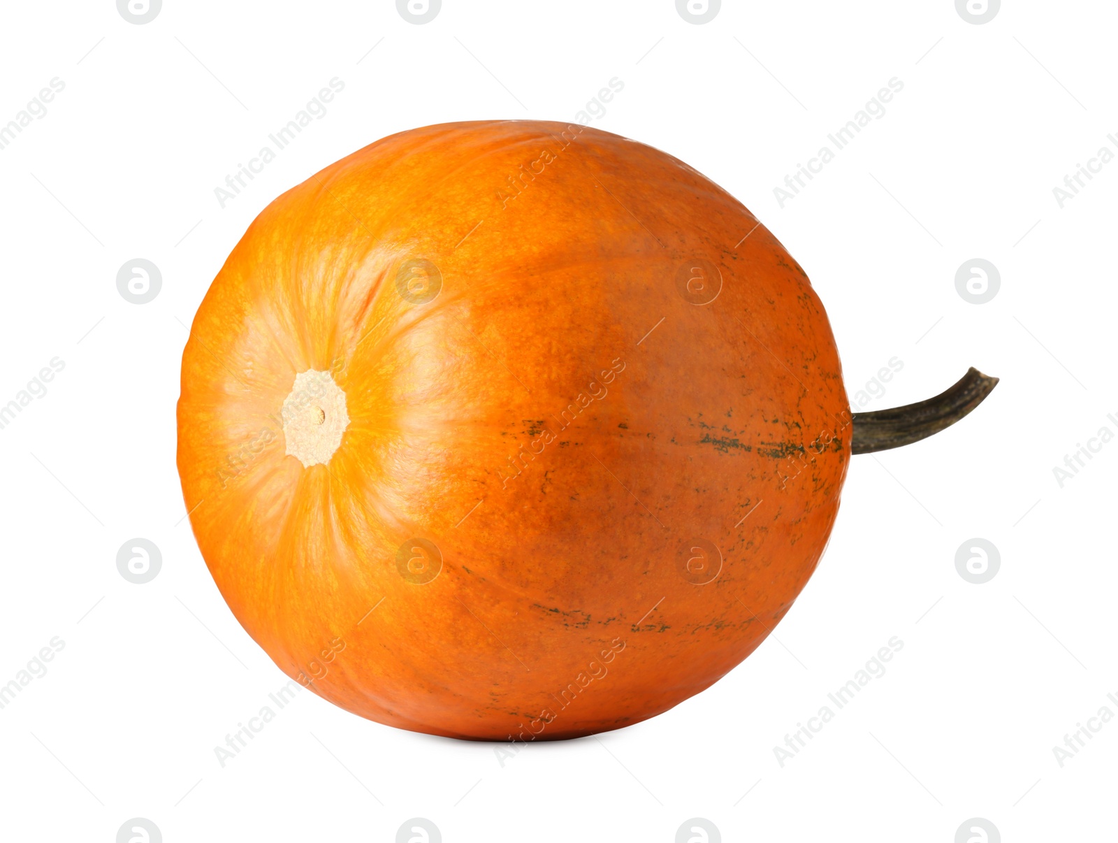 Photo of One fresh orange pumpkin isolated on white