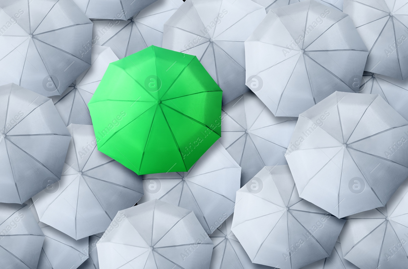 Image of Green umbrella standing out of other ones, top view