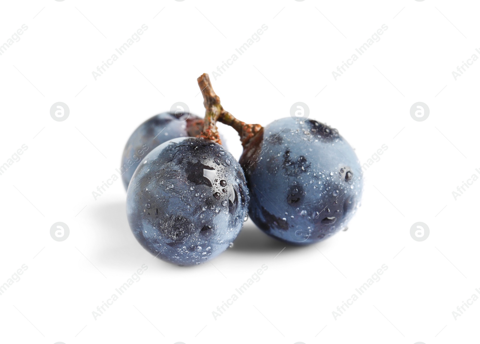 Photo of Delicious ripe dark blue grapes on white background