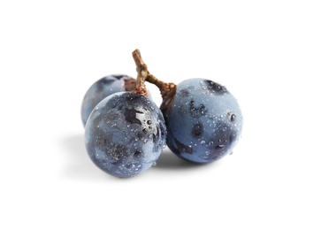 Delicious ripe dark blue grapes on white background