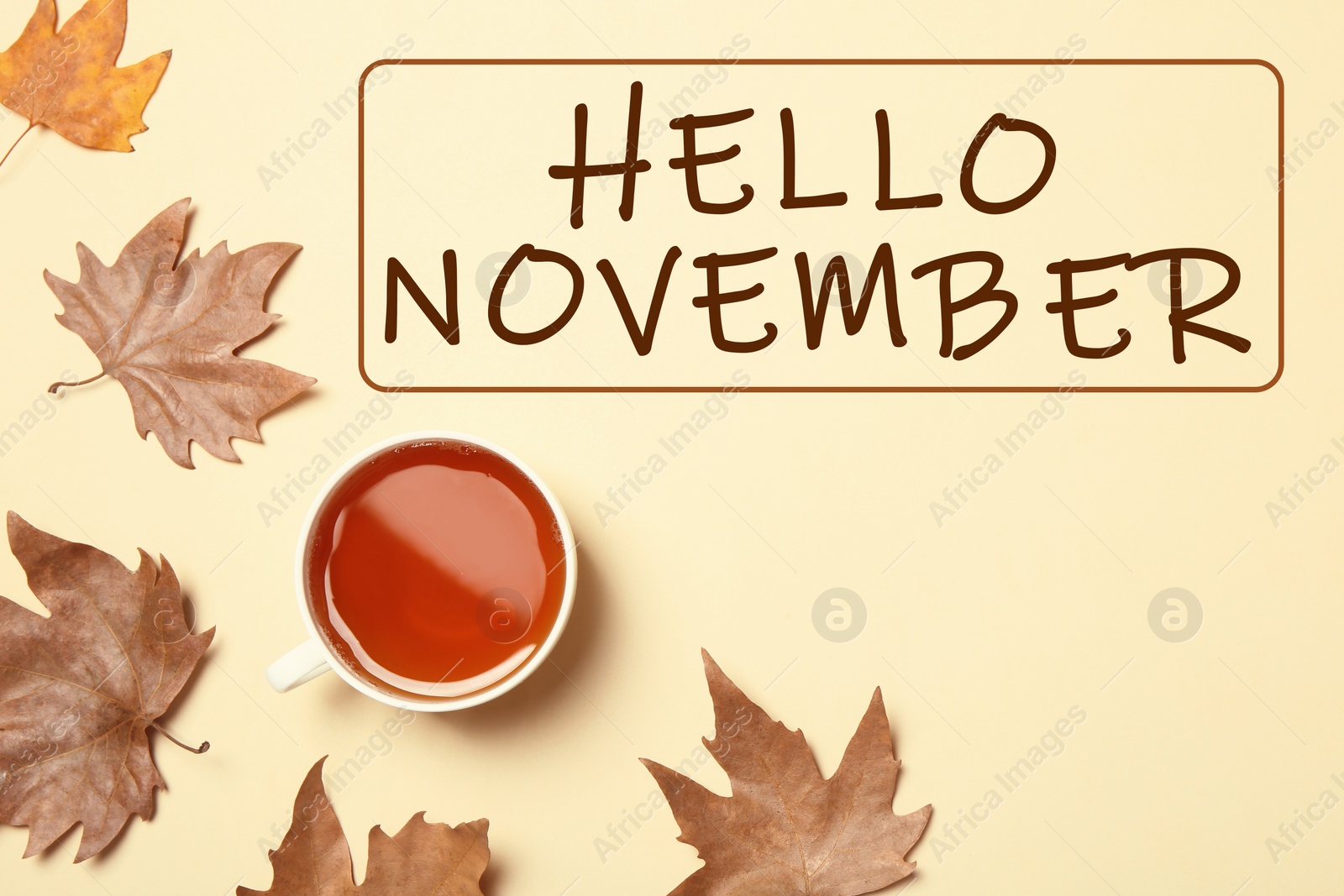 Image of Text Hello November, cup of tea and autumn leaves on beige background, top view