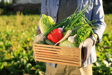 Man with crate of different fresh ripe vegetables on farm, closeup