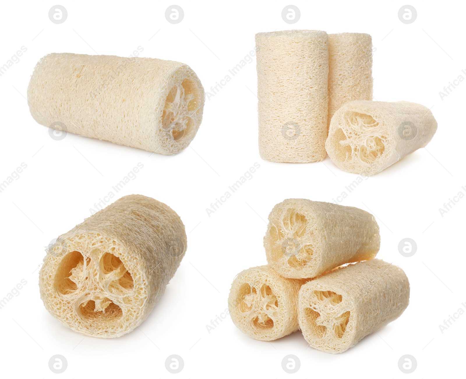 Image of Set with natural shower loofah sponges on white background