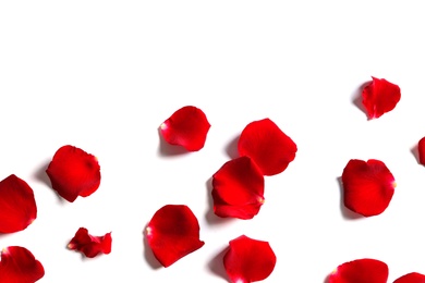 Red rose petals on white background, top view