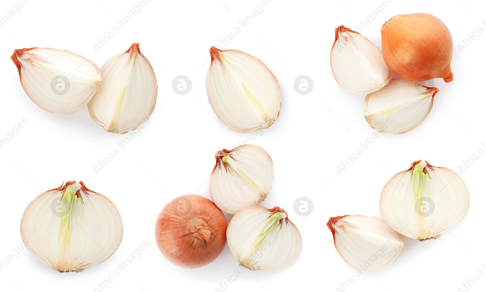 Image of Set of yellow cut and whole onion on white background, top view