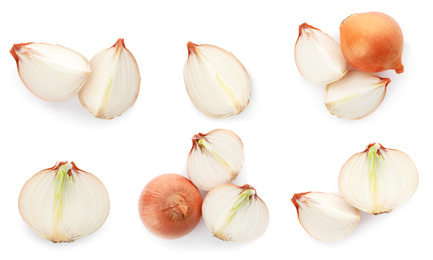 Image of Set of yellow cut and whole onion on white background, top view