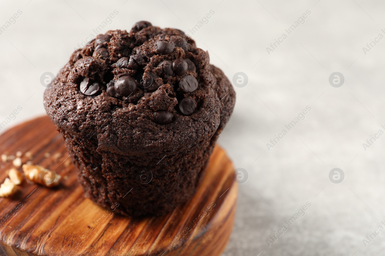 Photo of Delicious chocolate muffin on light grey table, closeup and space for text