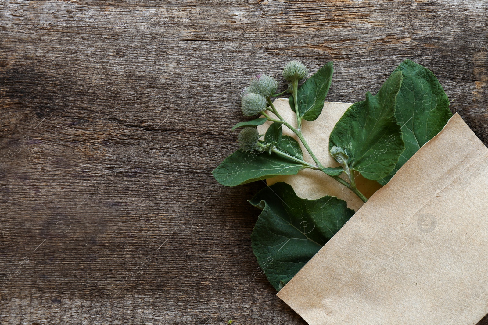 Photo of Fresh green burdock leaves and flowers in envelope on wooden table, top view. Space for text