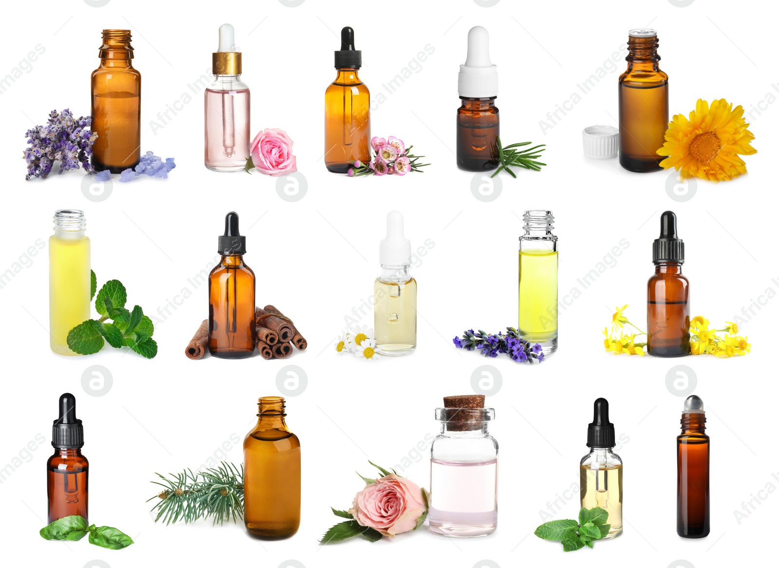 Image of Set of different essential oils for aromatherapy on white background 