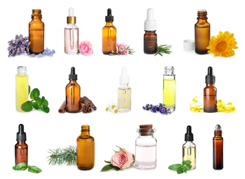 Image of Setdifferent essential oils for aromatherapy on white background 