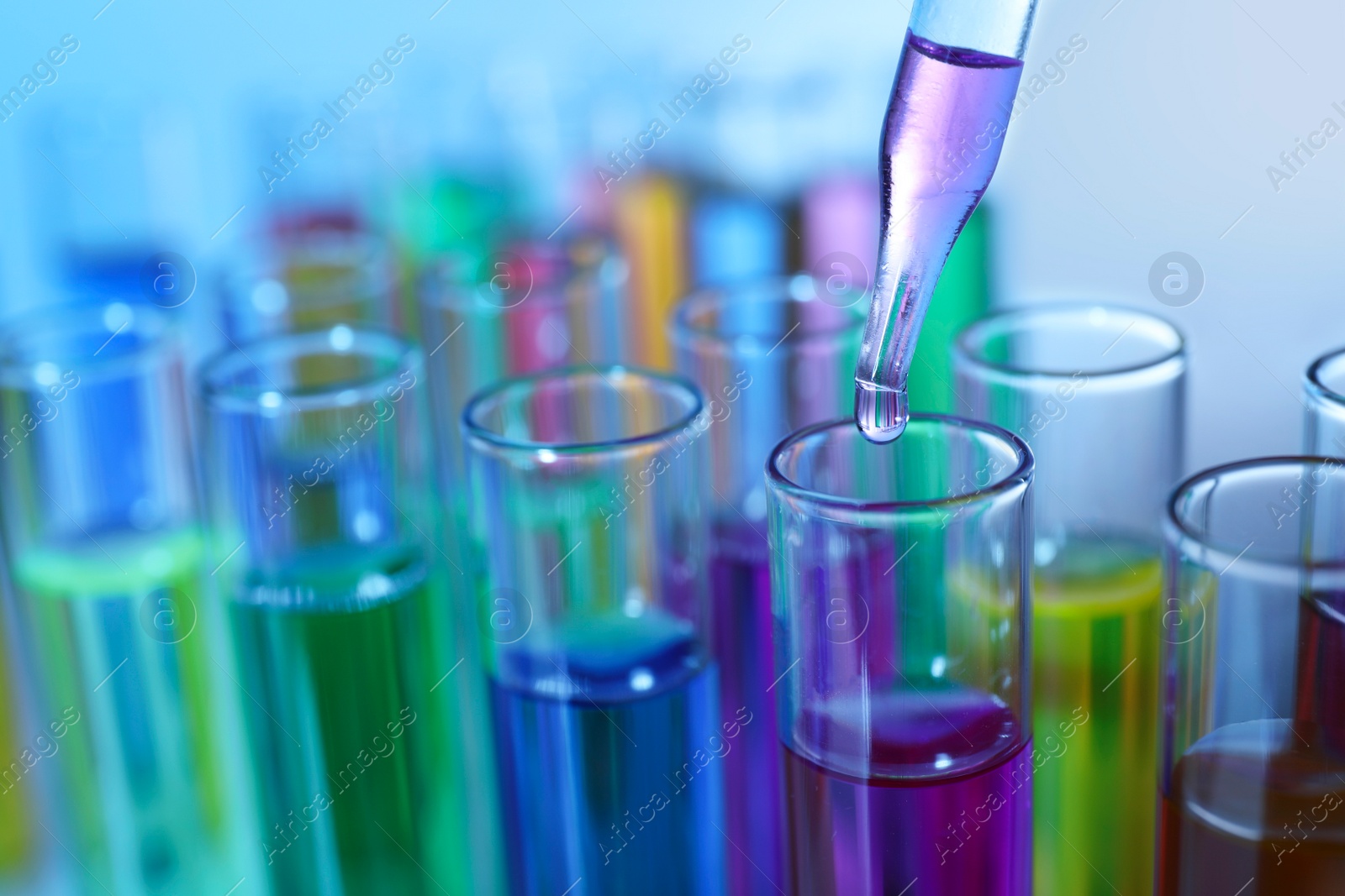 Photo of Dripping liquid from pipette into test tube on blurred background, closeup