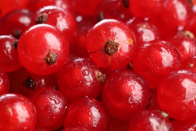 Wet fresh red currants as background, closeup