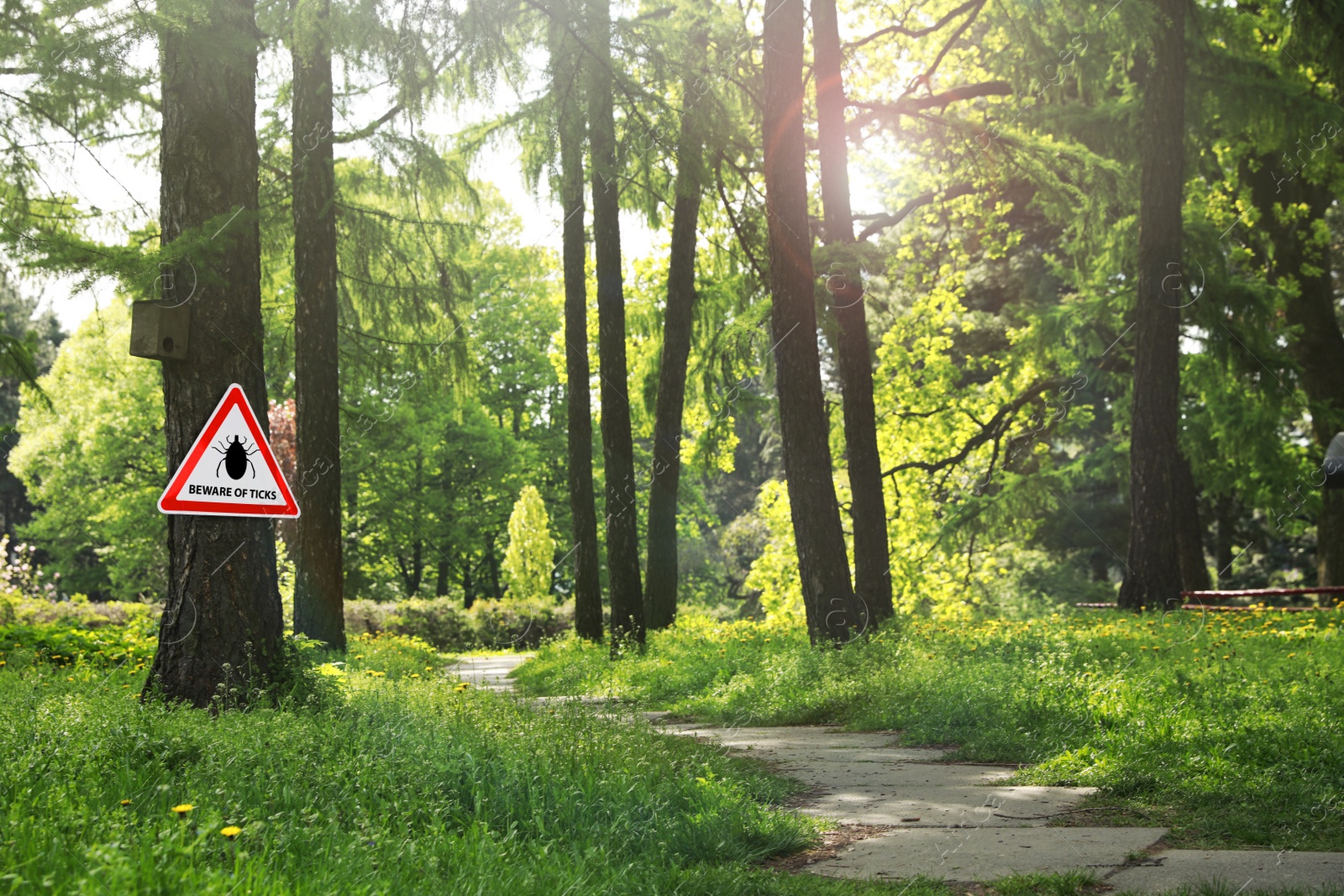 Image of Warning sign Beware of ticks in forest on sunny day