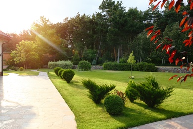 Photo of Picturesque landscape with beautiful green garden near house on sunny day