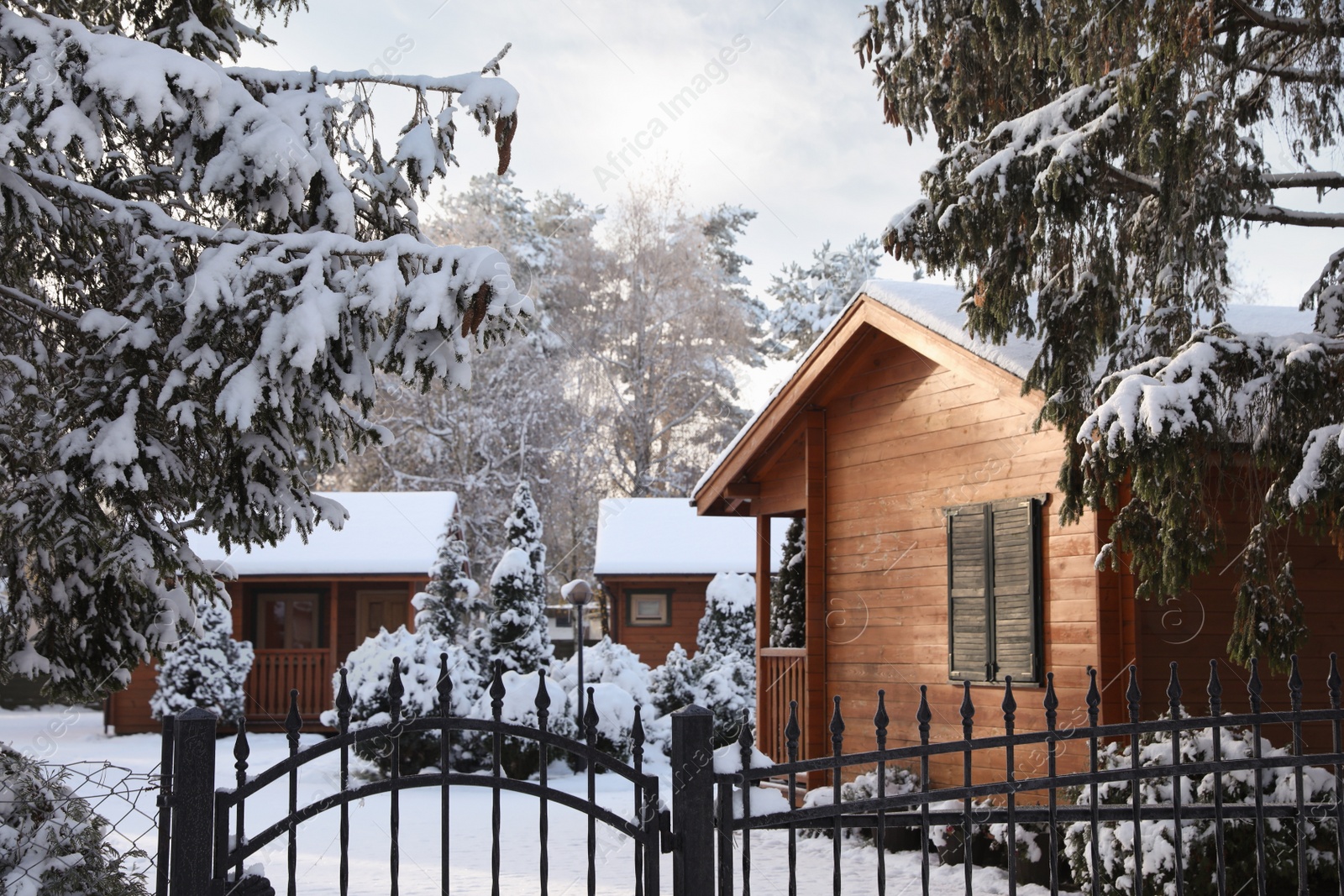 Photo of Winter landscape with beautiful houses, trees and bushes in morning