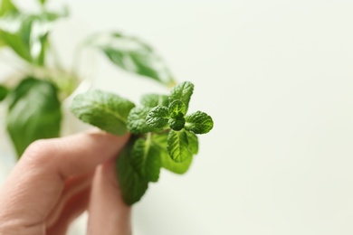 Photo of Lab assistant holding green plant on blurred background, closeup with space for text. Biological chemistry