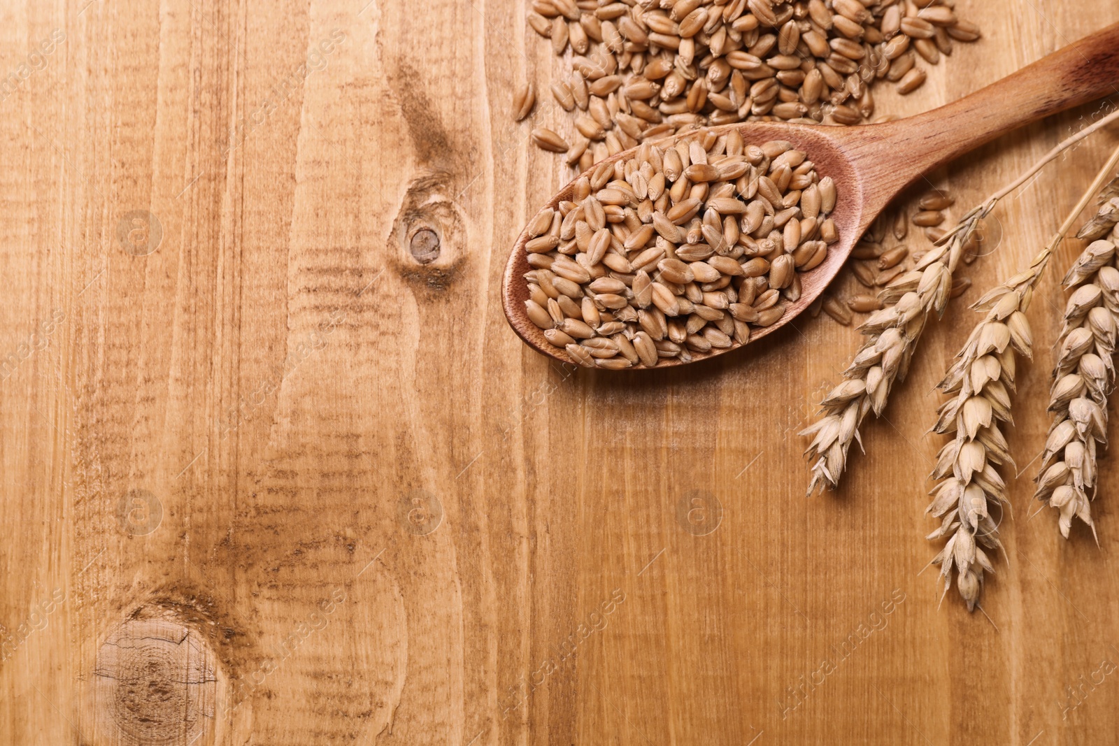 Photo of Wheat grains with spikelets on wooden table, flat lay. Space for text