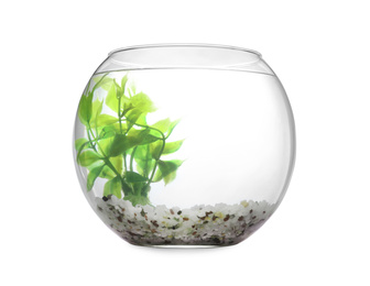 Photo of Glass fish bowl with clear water, plant and decorative pebble isolated on white