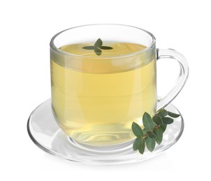 Cup of green tea with eucalyptus leaves on white background