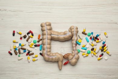 Anatomical model of large intestine and pills on white wooden background, flat lay