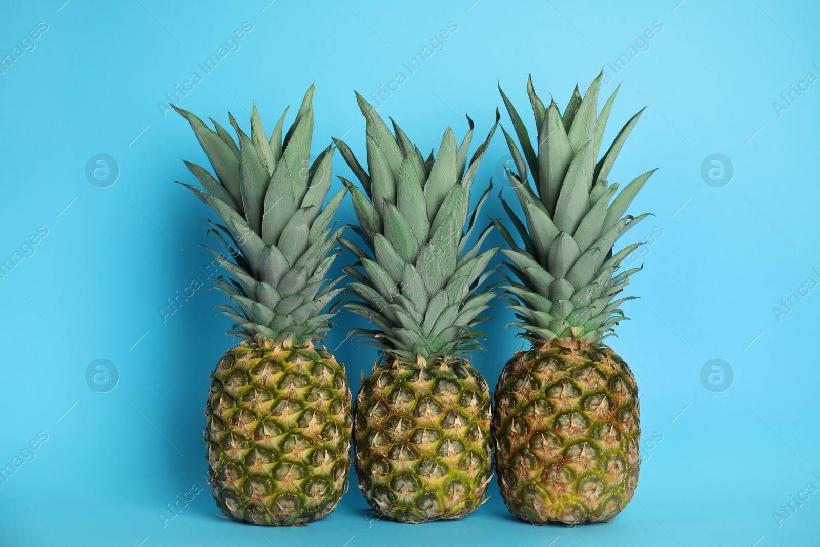 Photo of Ripe juicy pineapples on light blue background