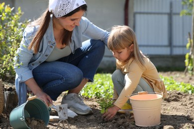 Mother and her cute daughter planting tree together in garden