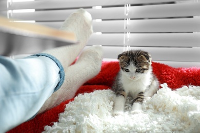 Adorable little kitten sitting on blanket near owner indoors