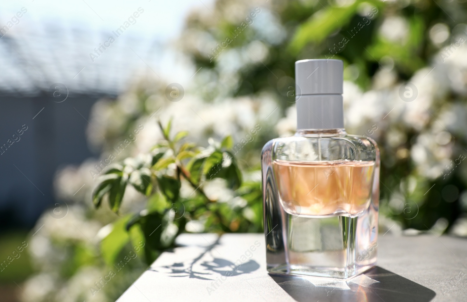 Photo of Bottle with luxury perfume on table in garden, space for text