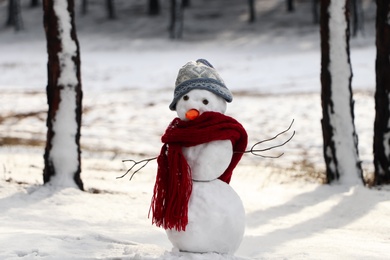 Funny snowman with scarf and hat in winter forest