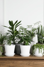 Photo of Many beautiful green potted houseplants on wooden table indoors