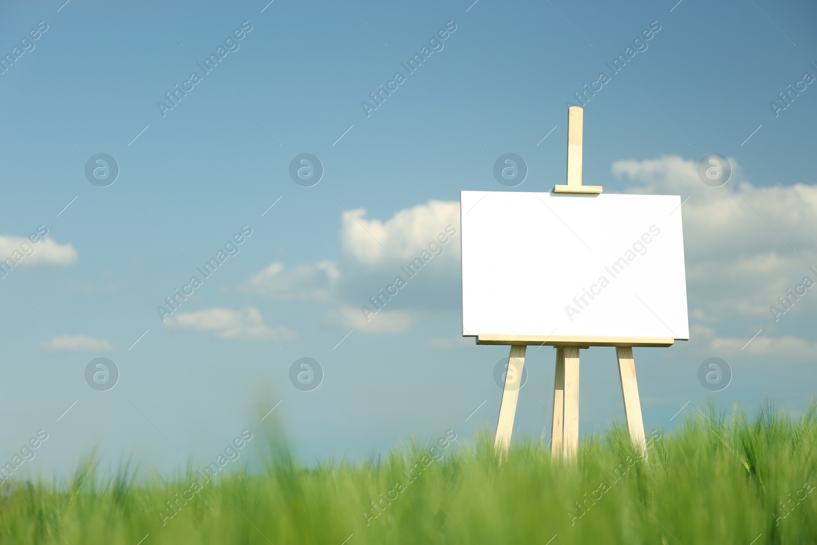 Photo of Wooden easel with blank canvas in picturesque green field on sunny day. Space for text