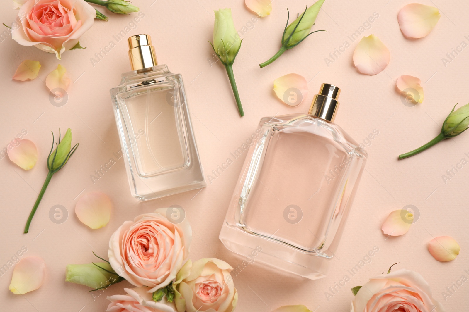 Photo of Flat lay composition with different perfume bottles and fresh flowers on beige background