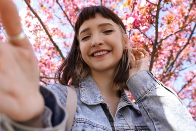 Beautiful young woman taking selfie in park with blossoming sakura trees