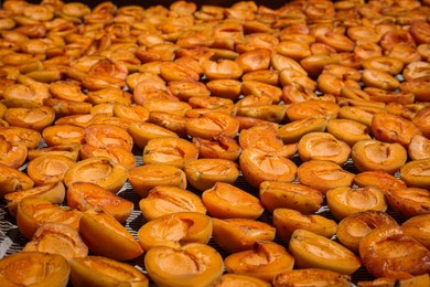 Photo of Many halved apricots on metal drying rack