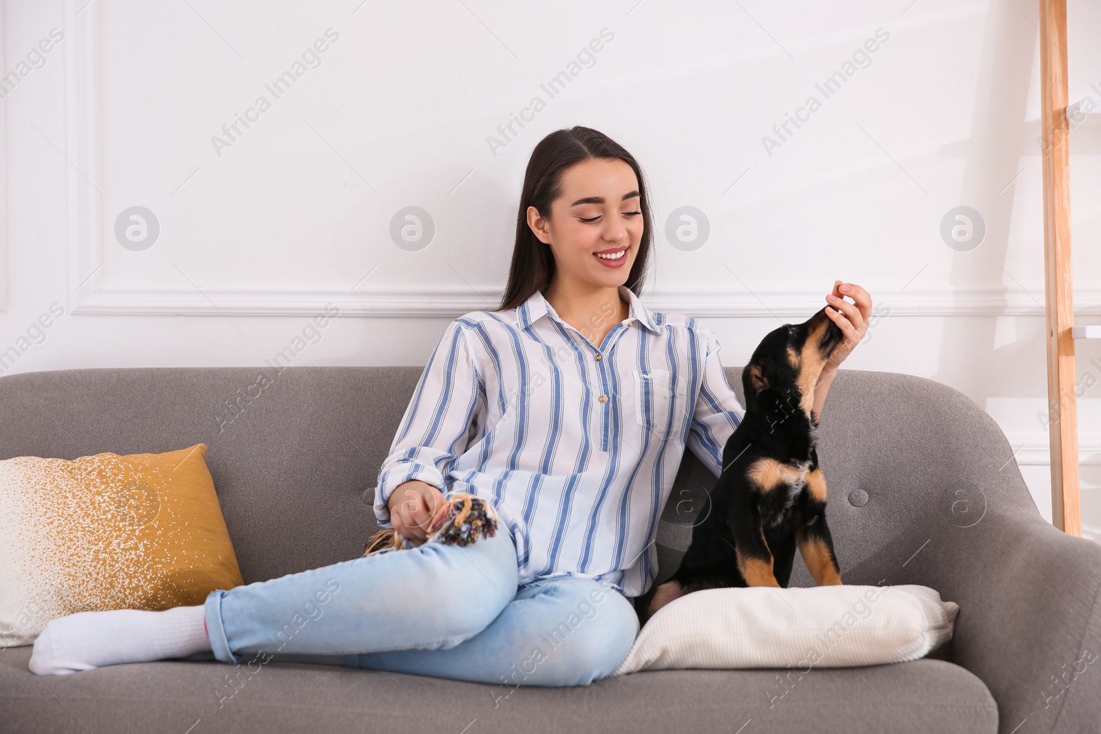 Photo of Woman with cute puppy indoors. Lovely pet