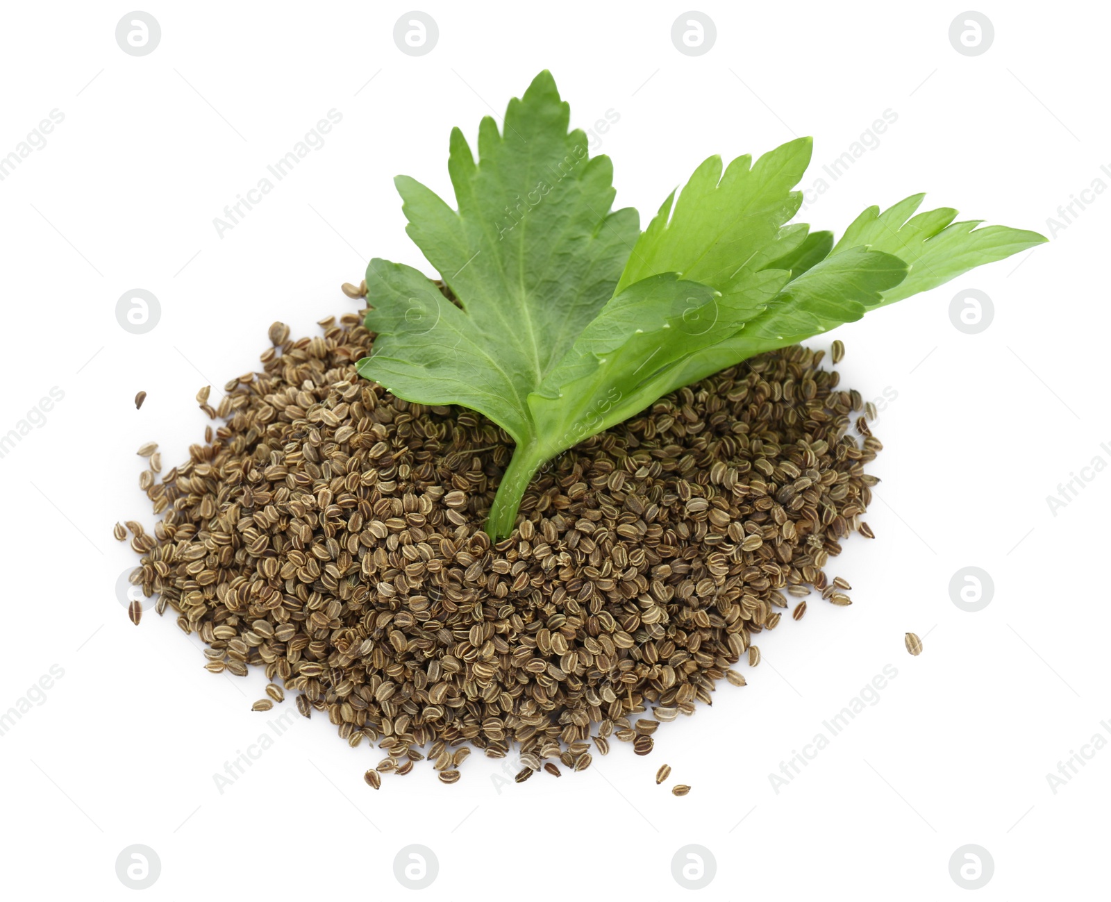 Photo of Pile of celery seeds and fresh plant isolated on white, top view