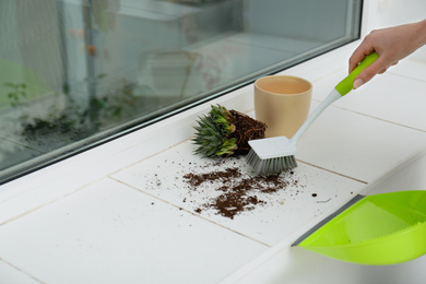 Woman sweeping away scattered soil from window sill with brush, closeup