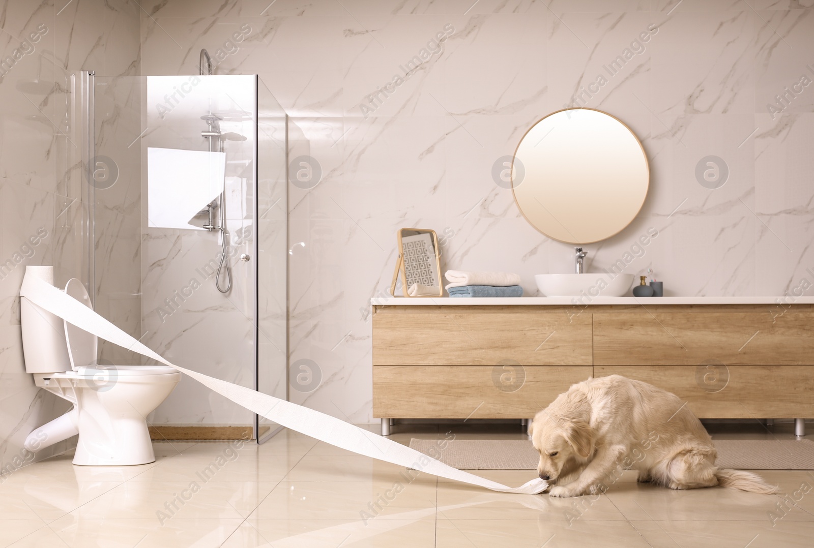 Photo of Cute Golden Labrador Retriever playing with toilet paper in bathroom