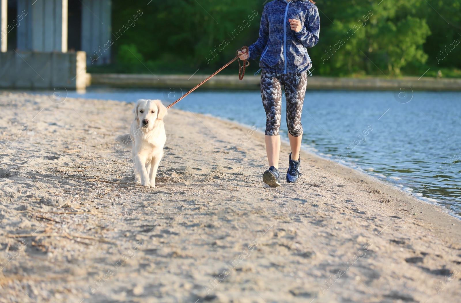 Photo of Young woman with her dog together on beach. Pet care