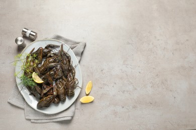 Fresh raw crayfishes with lemon and dill on light grey table, flat lay. Space for text
