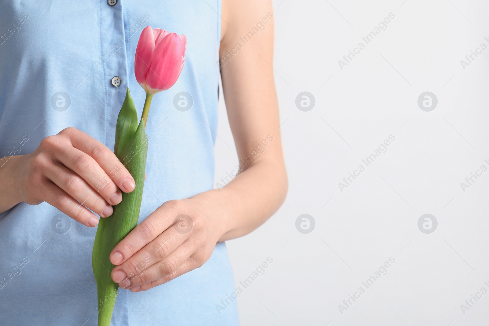 Photo of Girl holding beautiful spring tulip on light background, closeup. International Women's Day