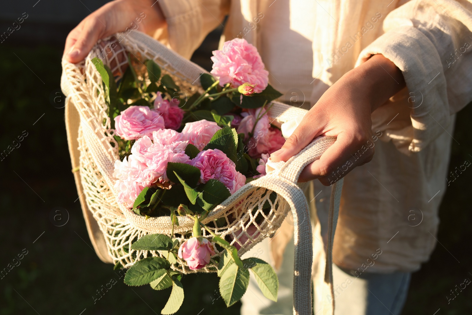 Photo of Woman holding mesh bag with beautiful tea roses outdoors, closeup